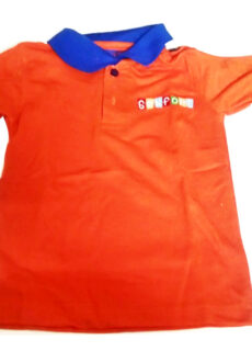 Full Sleeves Winter T-Shirt for Sanfort Kids