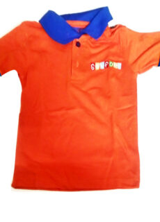 Half Sleeve T Shirt Sanfort